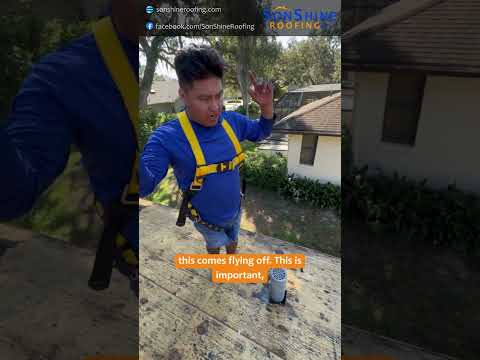 Local expertise in action 📸