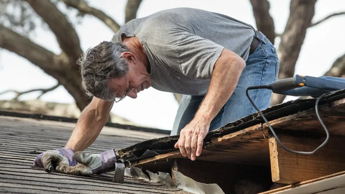 diy roof repair sarasota roofing contractor