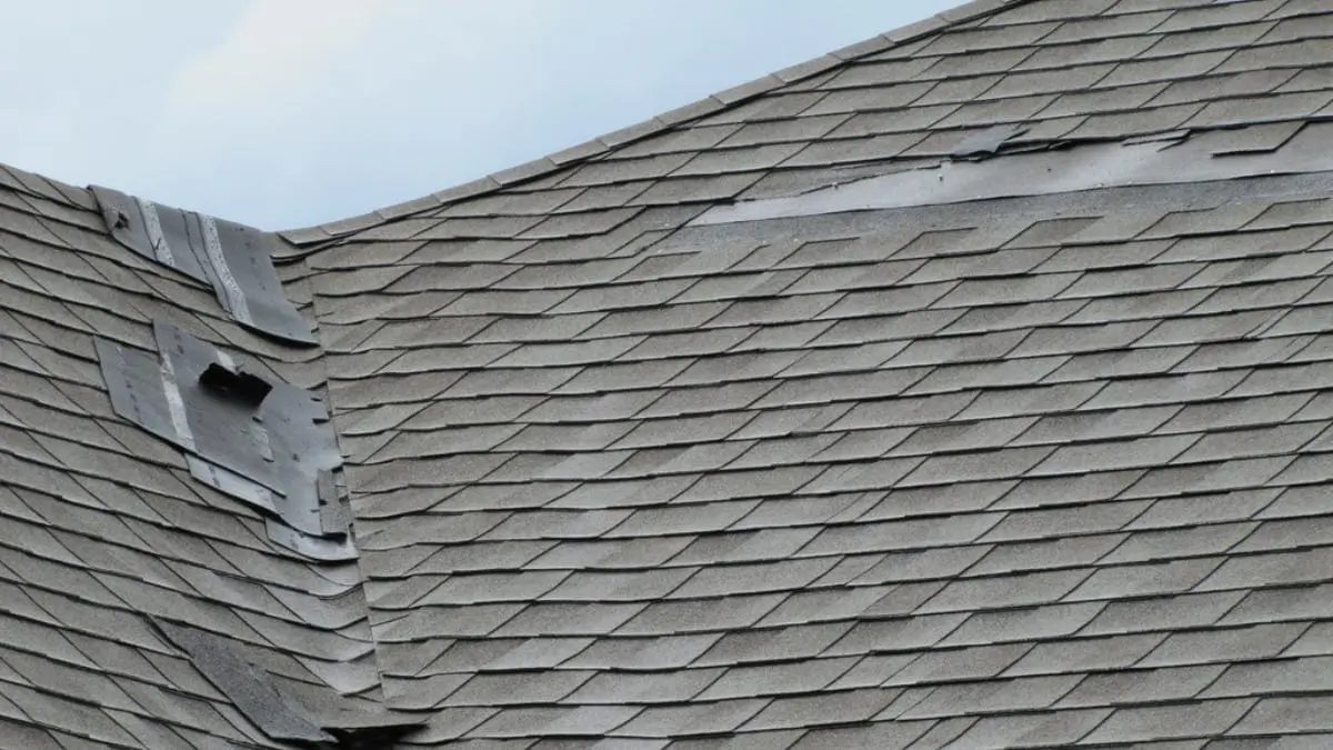 assess your own roof damage sarasota roofing company sonshine roofing