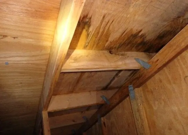 warning signs of roof leaks