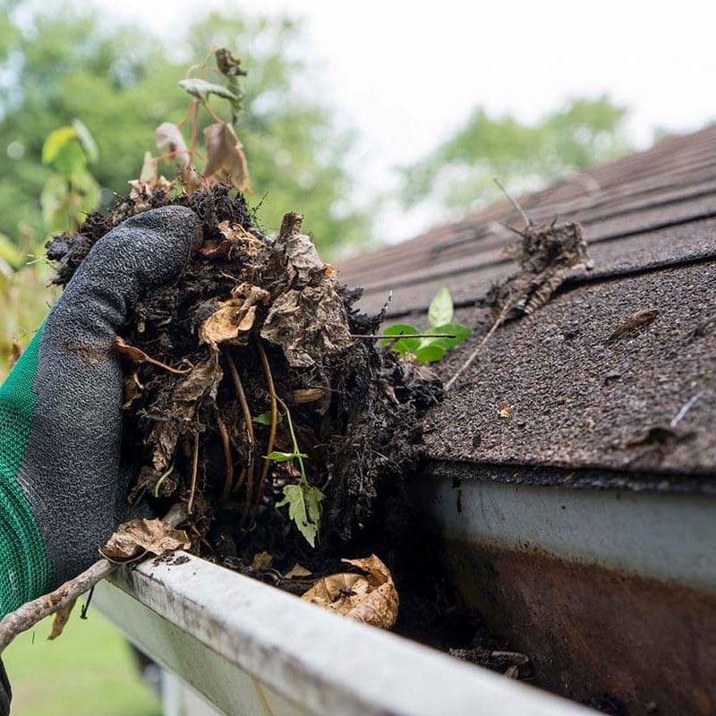 The importance of roof maintenance