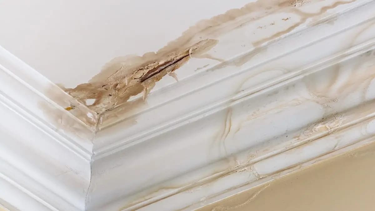 reasons for roof leaks common causes of roof leaks roof leaks in sarasota florida roofing contractor sarasota