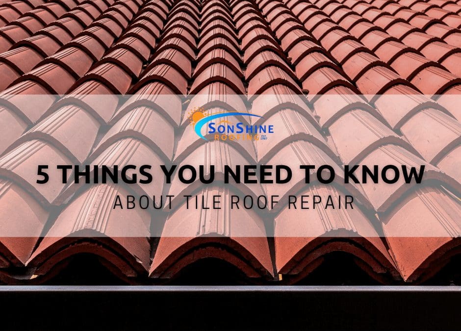 5 Things You Need to Know About Tile Roof Repair