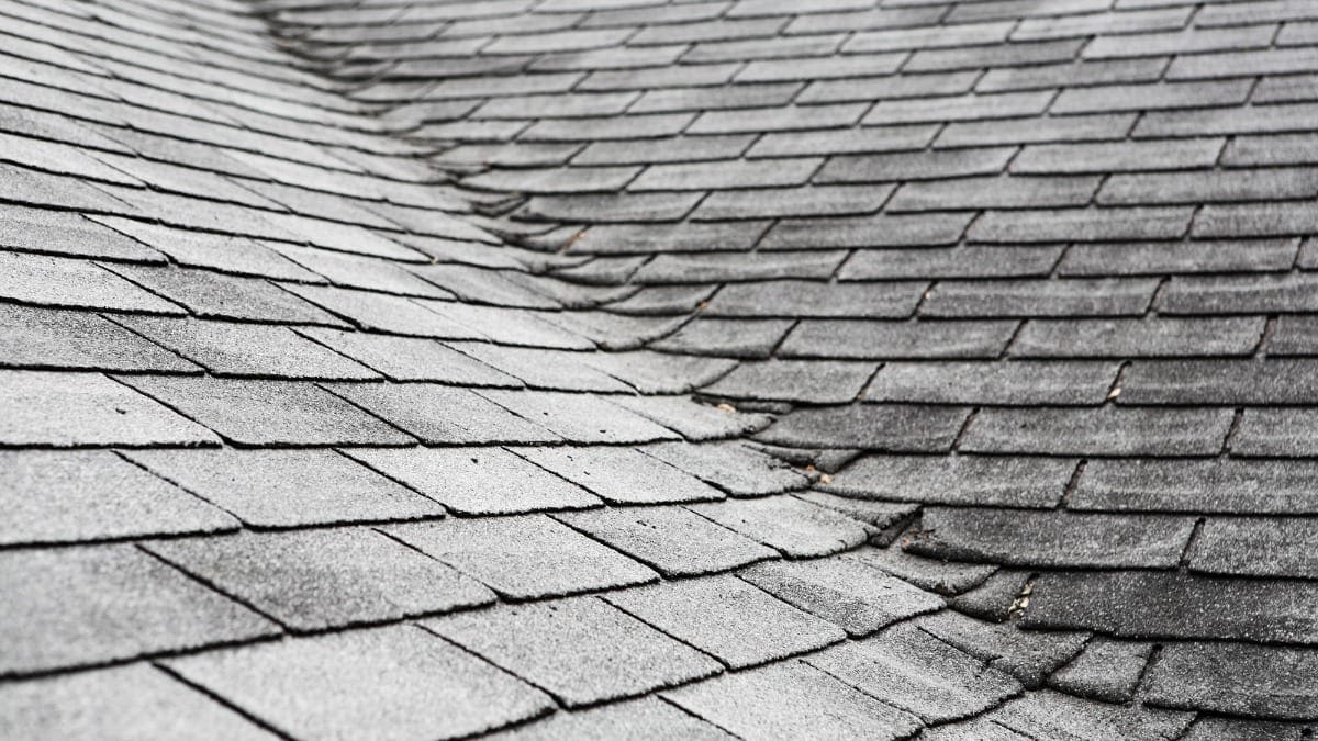 Do You Have a Bad Roof? Here Are Common Signs You Need a Roof ...