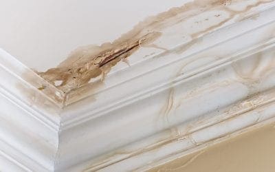 What Causes a Roof Leak? 5 Common Reasons for a Leaky Roof